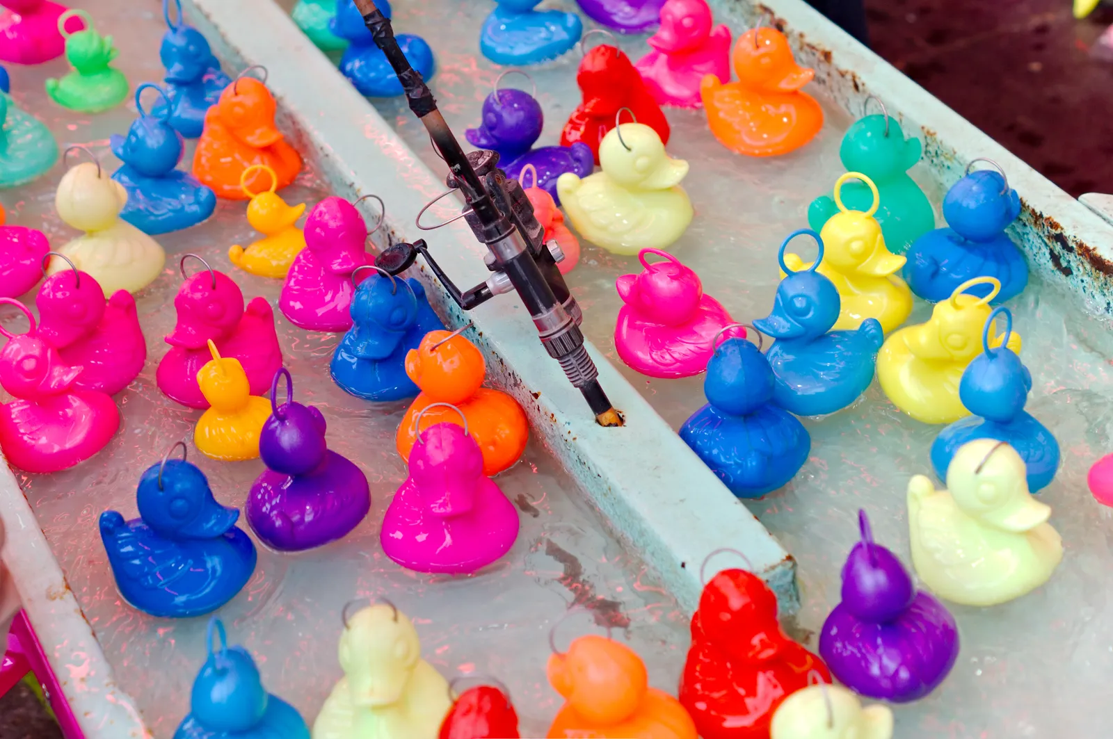 Stand de pêche aux canards : canards en plastique de toutes les couleurs, munis d'un anneau, flottant dans un bassin, et une canne posée au milieu
