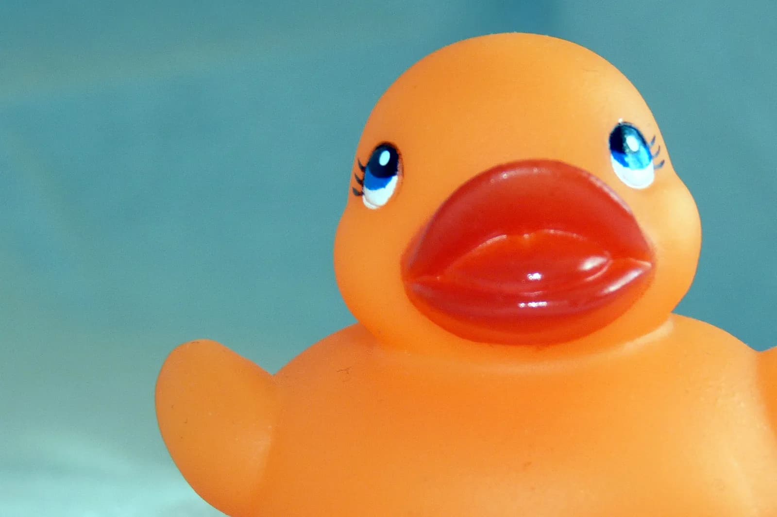 Canard de bain orange en caoutchouc, vu de près sur un fond bleu-vert