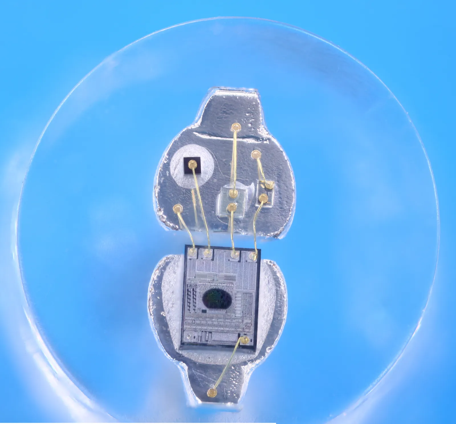 Diode LED de 5 mm dont le boîtier transparent laisse voir la puce et ses fils, posée sur un fond bleu clair